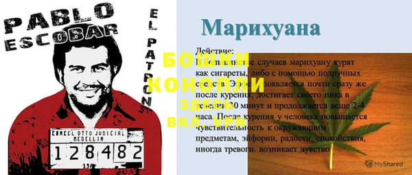 дурь Арсеньев