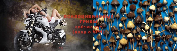 таблы Аркадак