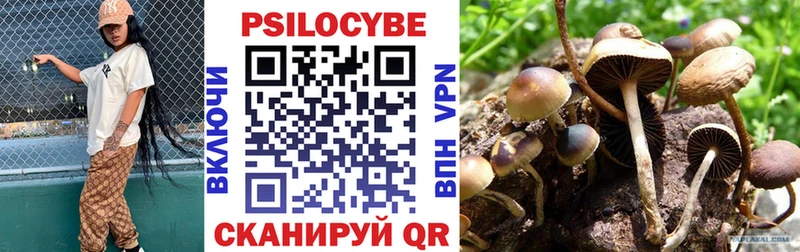 магазин продажи наркотиков гидра онион Галлюциногенные грибы MAGIC MUSHROOMS Очёр